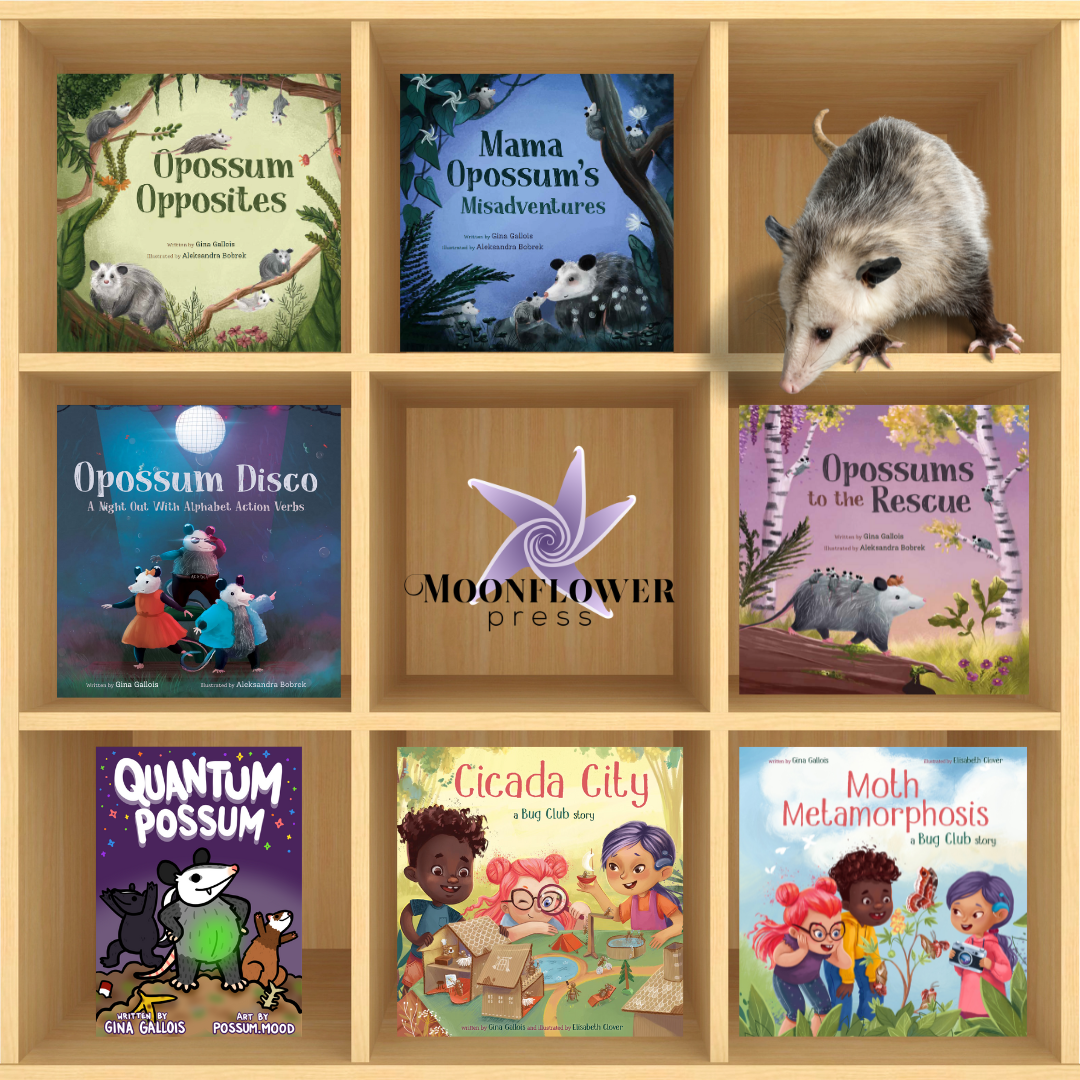 Quantum Possum: Projects & Activities for Creative Kids