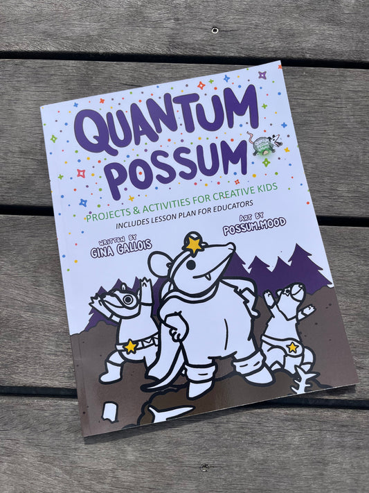 Quantum Possum: Projects & Activities for Creative Kids