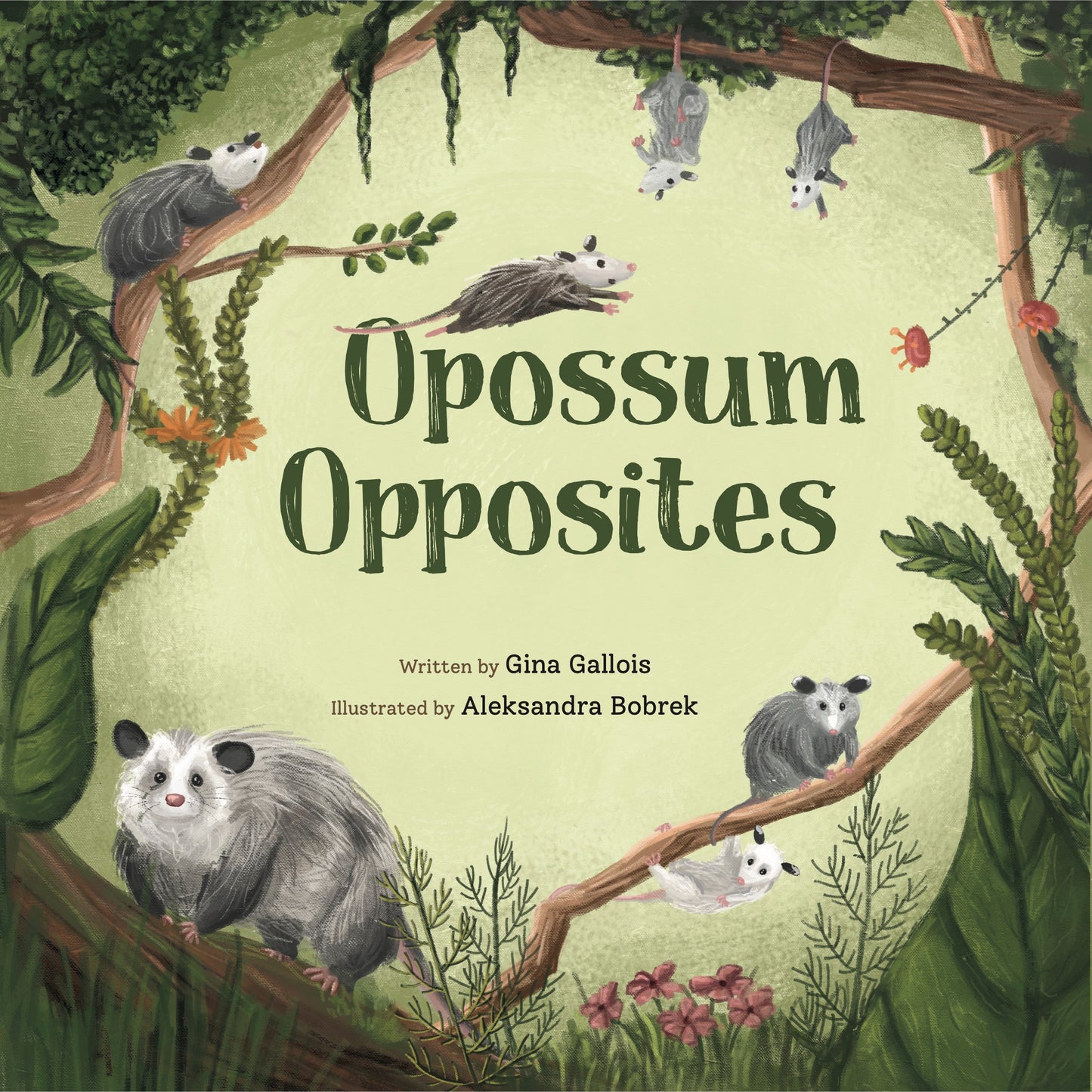 Opossum Opposites: Get to Know Our Misunderstood Marsupial