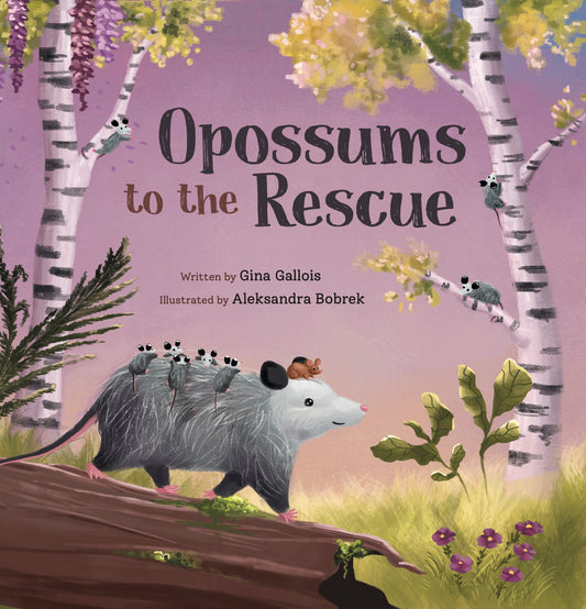 Opossums to the Rescue: A Same or Different Critter Story