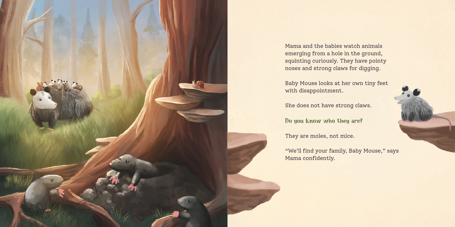 Opossums to the Rescue: A Same or Different Critter Story