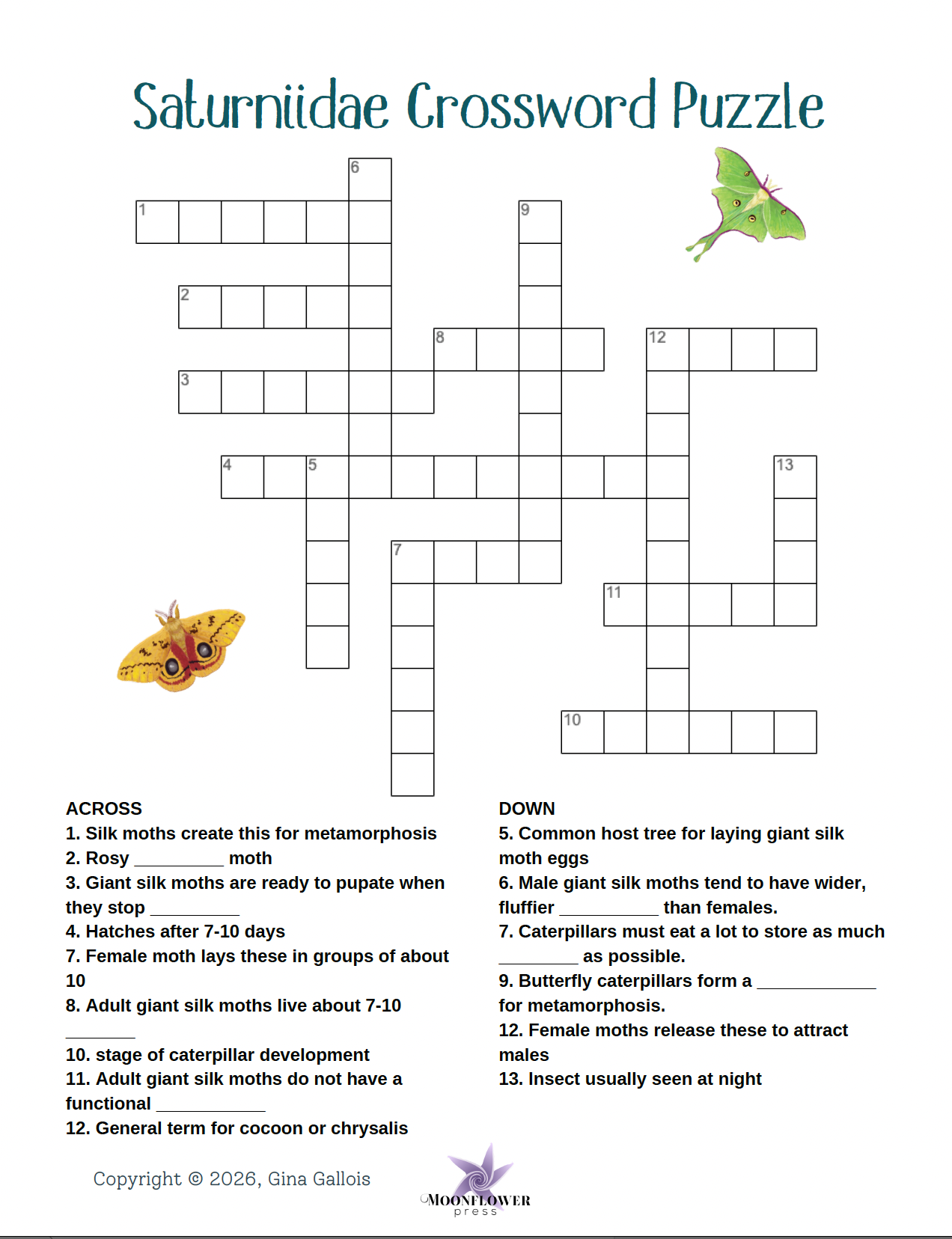Lesson Plan & Activities: Moth Metamorphosis