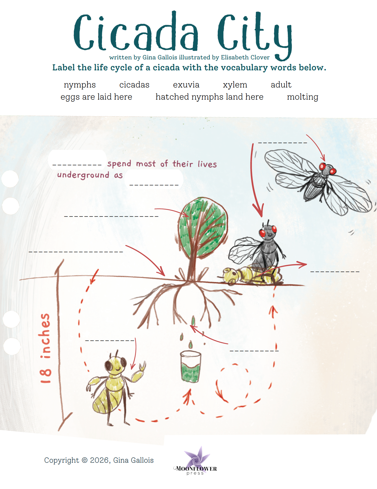 Lesson Plan & Activities: Cicada City