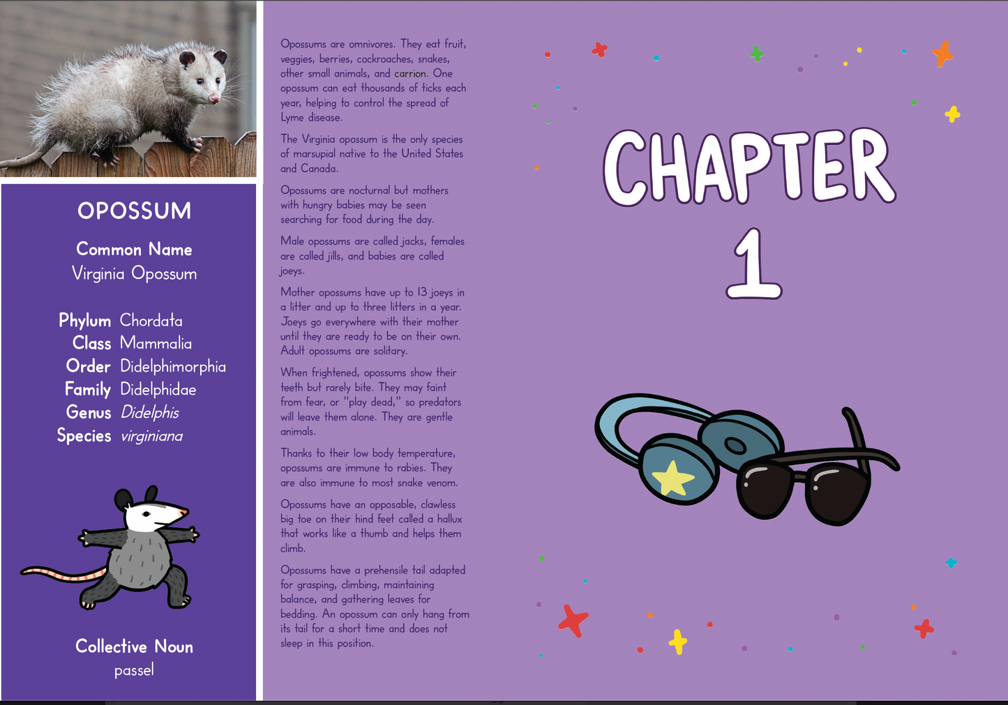 Quantum Possum: The Cosmic Taco of Possumbilities E-BOOK